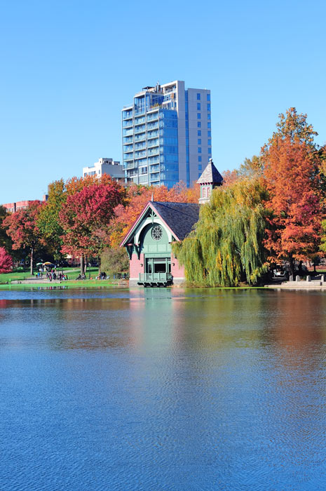 Now-To-Get-Love-Back